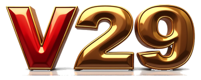v29